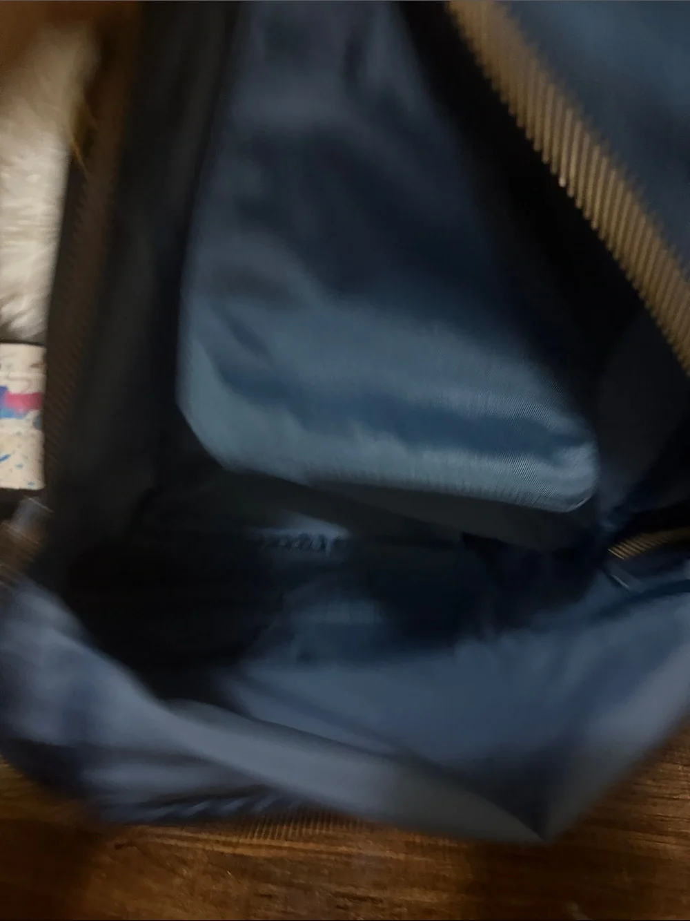 Frye Teal Blue Nylon Backpack with Brown Leather Trim